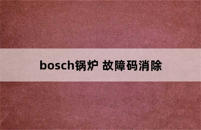 bosch锅炉 故障码消除